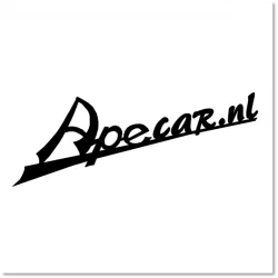 Sproeier 45 / minimumsproeier Ape P50