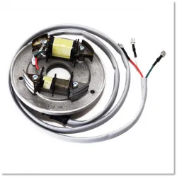 Stator / Ontstekingsspoel TM P2 MP