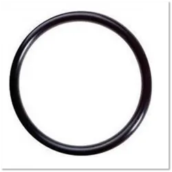 O ring / pakking waterpomp - flens Classic Calessino